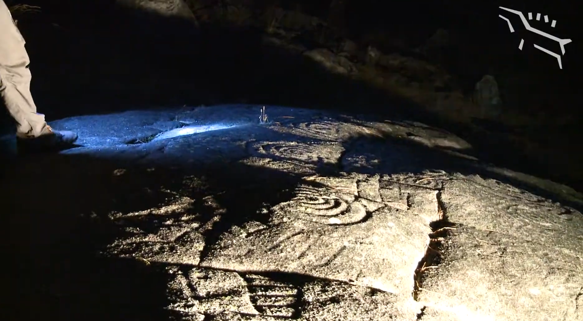 Quan sát kỹ hơn cho thấy một cụm hình khắc dày đặc, nhiều hình được bảo tồn với độ rõ nét đáng kinh ngạc. Ảnh: @Tormod Fjeld.