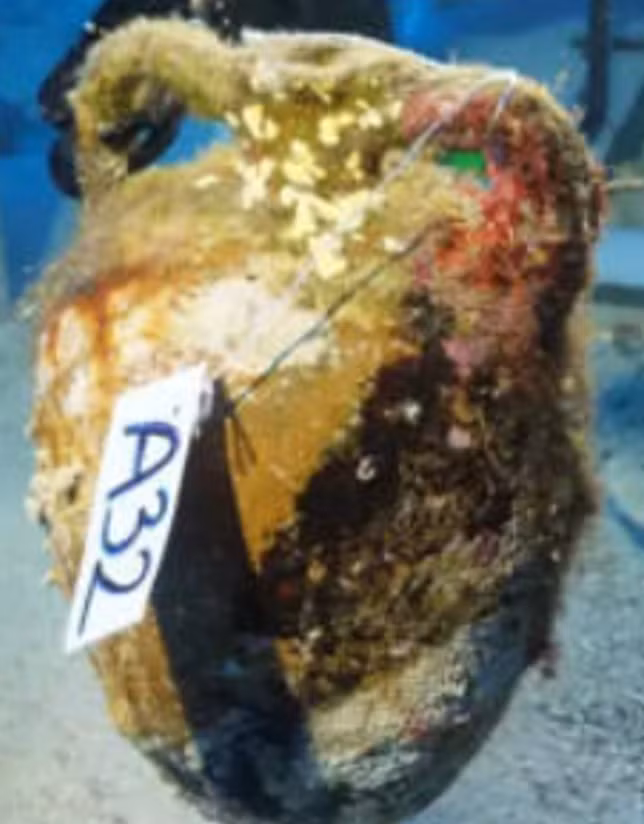 Con tàu 1.100 năm tuổi này được tìm thấy ở độ sâu khoảng 40 đến 50 mét. Ảnh: @Đại học Akdeniz.