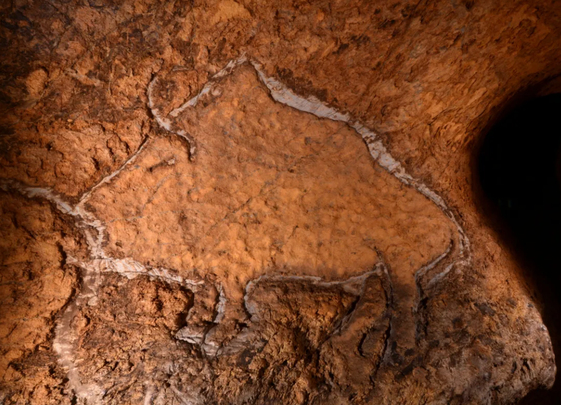 Đập ngay vào mắt, bức tranh khắc họa chân dung toàn diện một con lợn rừng, với đầy đủ các bộ phận cơ thể. Ảnh: @Viện Nghiên Cứu Khảo Cổ Tây Ban Nha.