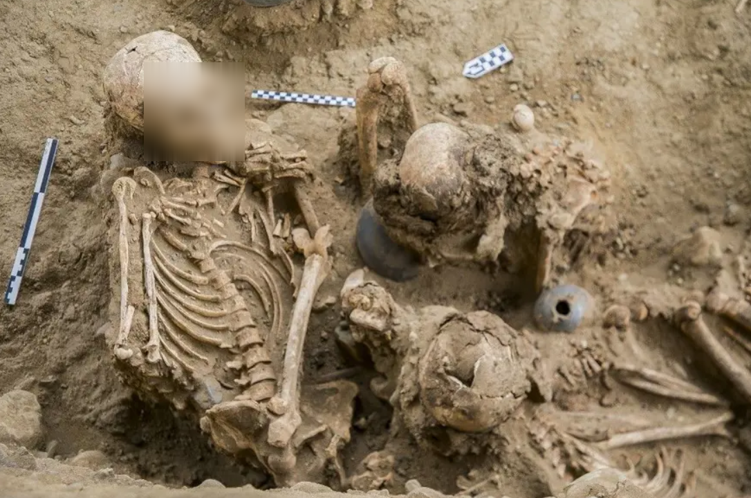 Phân tích nhân chủng học các bộ xương đã hé lộ một chi tiết đáng lo ngại, tất cả cá thể đều có những chấn thương nghiêm trọng là nguyên nhân trực tiếp dẫn đến tử vong. Ảnh: @Đại học Wrocław.