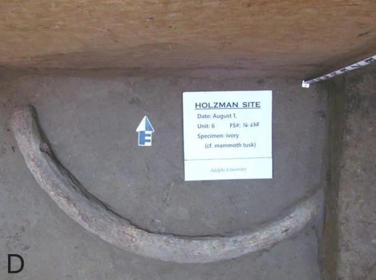 Nghiên cứu hiển vi về các vết cắt và dấu vết chế tác cho thấy sự liên kết giữa các mảnh vụn trong quá trình sản xuất với việc chế tác ngà voi. Mô hình này cho thấy quá trình sản xuất có chủ đích hơn là sử dụng ngẫu nhiên. Ảnh: @Krasinski.