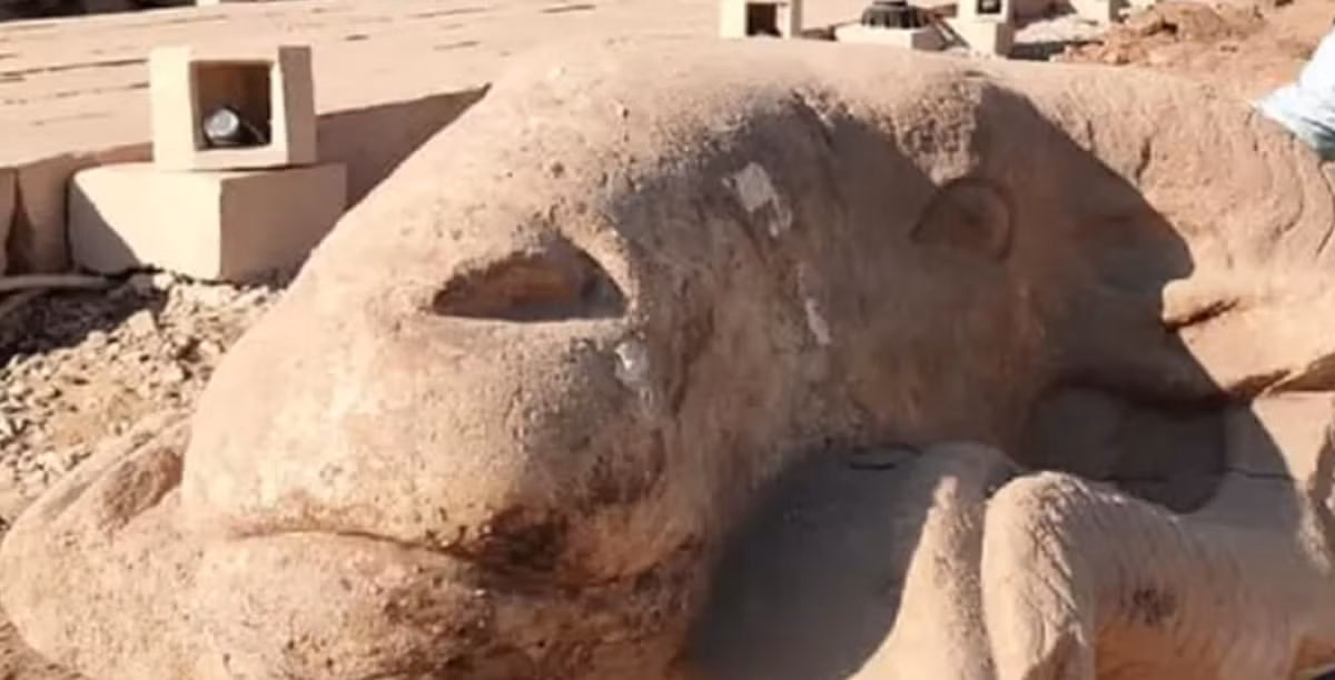 Và tượng đá đầu cừu này đóng một vai trò đặc biệt trong một số lễ hội ở Thebes. Nó được dùng làm biểu tượng tượng trưng cho sự "uy nghi, tôn kính", để dâng lên thần Amun-Ra. Ảnh: @Bộ Du lịch và Cổ vật Ai Cập.