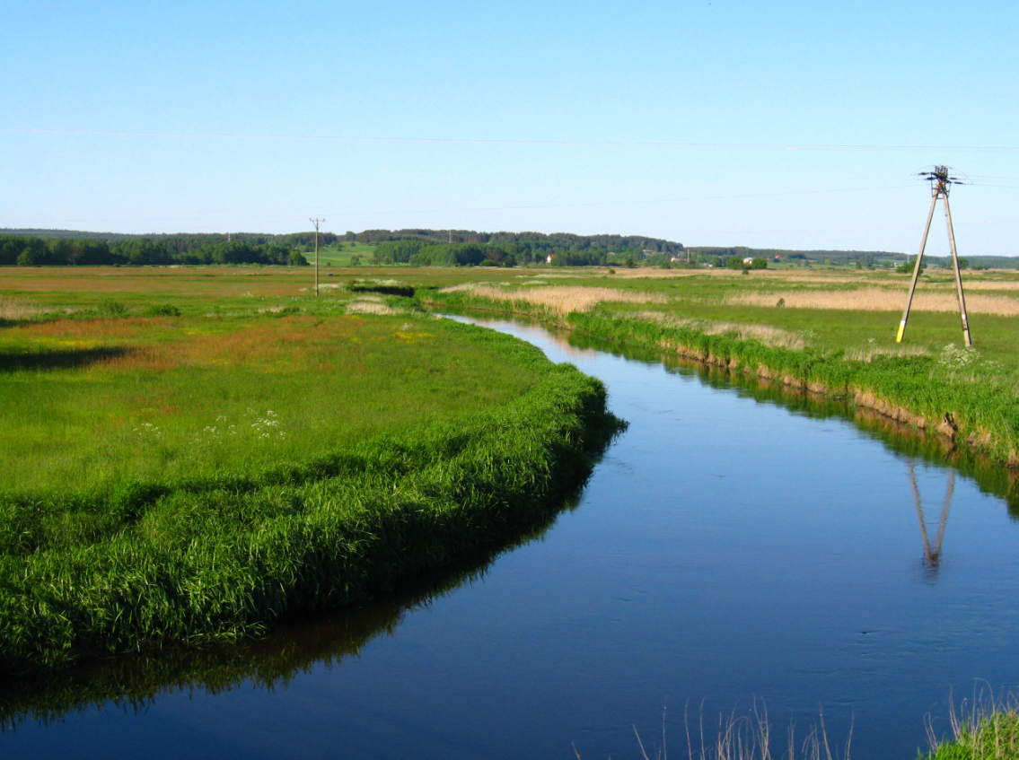 Theo đó, khi đang lặn ở sông Supraśl, người đàn ông tên là Szczepan Skibicki, nhân viên Bảo tàng Quân đội ở Białystok, Ba Lan bất ngờ tìm thấy một vật thể lạ chôn vùi ở phần cát đáy sông. Ảnh: @Szczepan Skibicki.