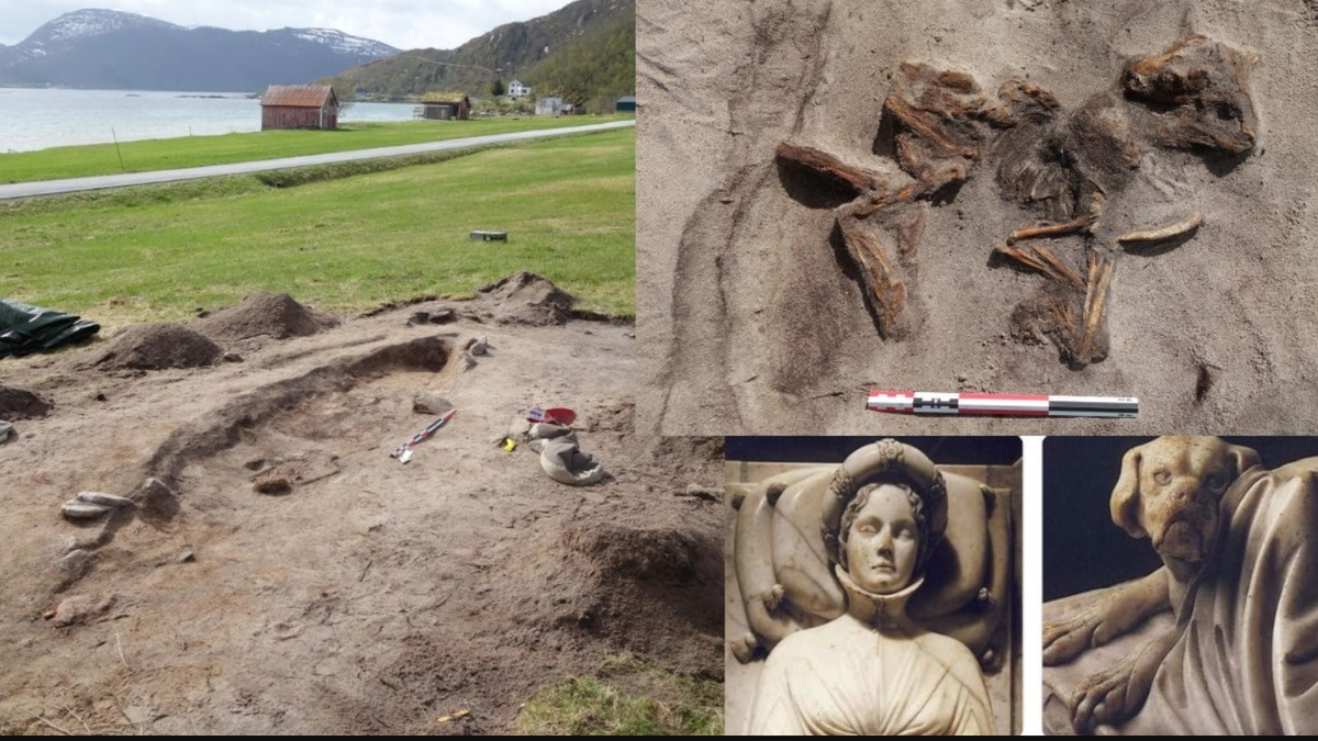 Đó là một ngôi mộ hình thuyền có niên đại từ thời Viking, khoảng năm 900 đến 950 Sau Công Nguyên. Ảnh: @Bảo tàng Đại học Bắc Cực của Na Uy.