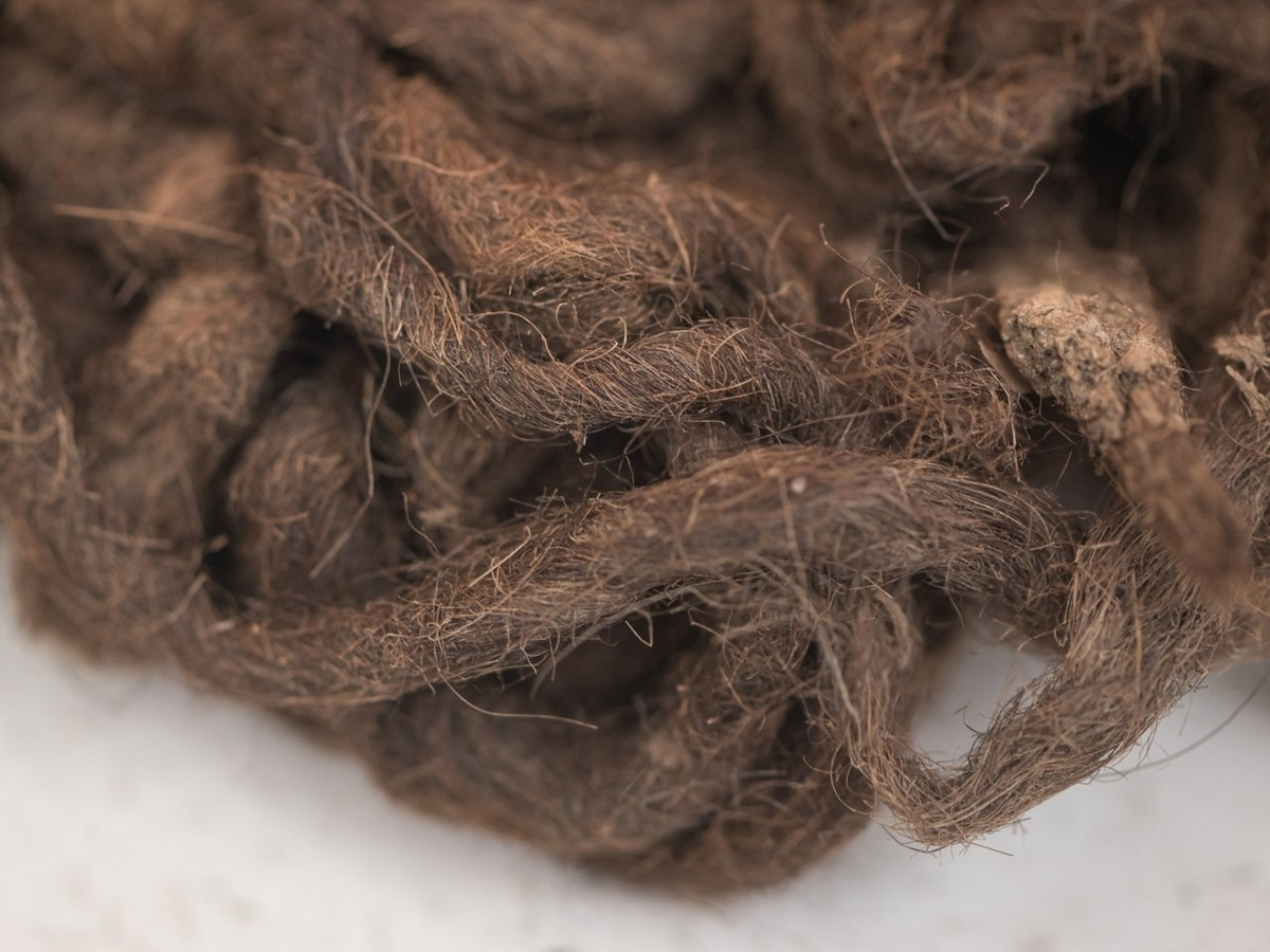 Giày dép và vải vóc đều có dấu hiệu sờn rách, và việc thu thập được nhiều mảnh vụn cho thấy, chúng có thể thuộc về một xưởng đóng giày và một cửa hàng sửa chữa quần áo cổ xưa liền kề nào đó trong khu vực. Ảnh: @Cơ Quan Cổ Vật Ba Lan. Ảnh: @Cơ Quan Cổ Vật Ba Lan.