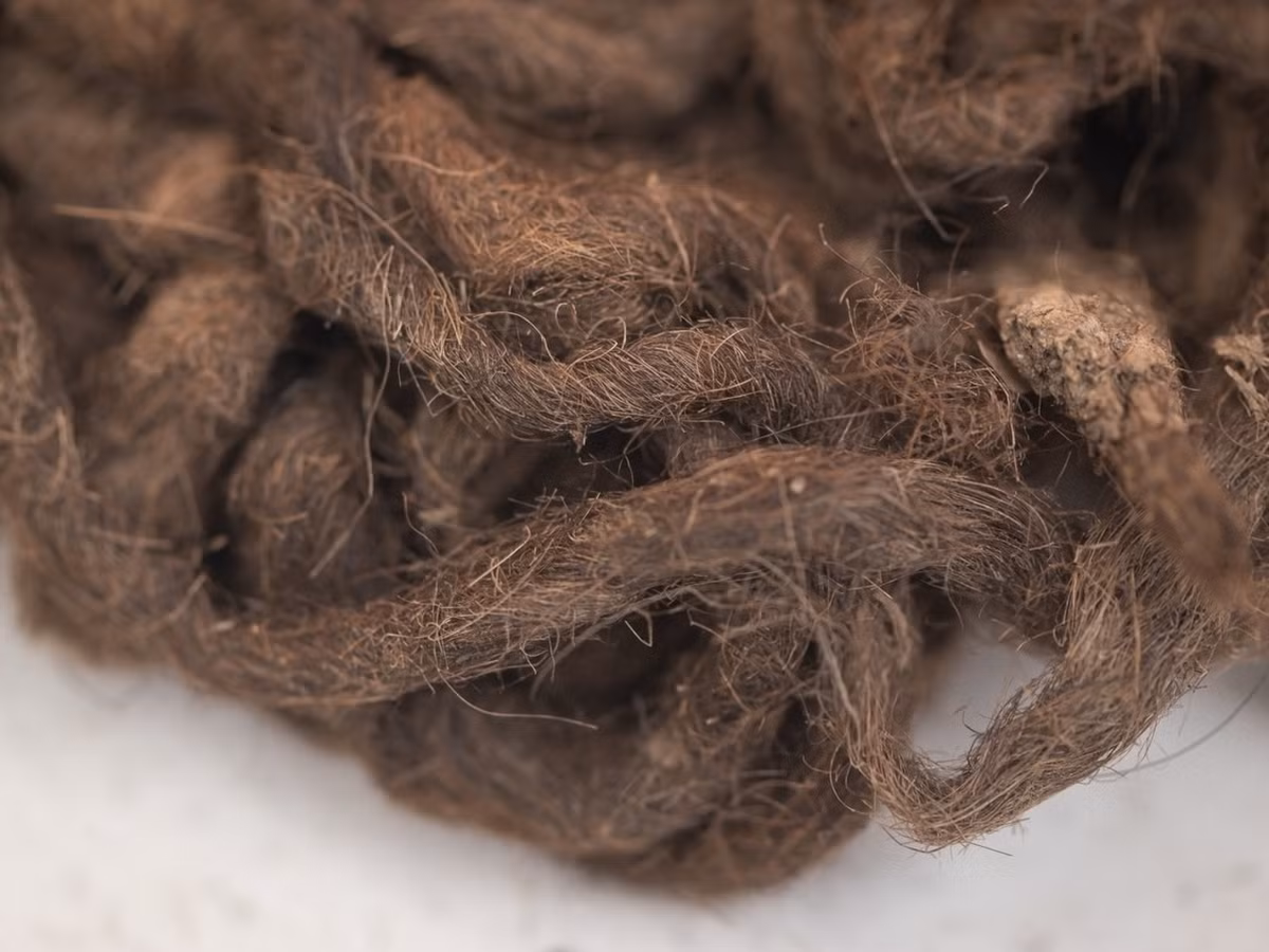 Giày dép và vải vóc đều có dấu hiệu sờn rách, và việc thu thập được nhiều mảnh vụn cho thấy, chúng có thể thuộc về một xưởng đóng giày và một cửa hàng sửa chữa quần áo cổ xưa liền kề nào đó trong khu vực. Ảnh: @Cơ Quan Cổ Vật Ba Lan. Ảnh: @Cơ Quan Cổ Vật Ba Lan.