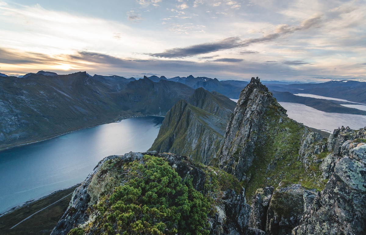 Ở Senja, một hòn đảo gồ ghề nhưng xinh đẹp ở phía bắc Na Uy, máy dò kim loại phát tín hiệu và các chuyên gia đến từ Bảo tàng Đại học Bắc Cực của Na Uy bất ngờ tìm thấy quần thể chôn cất kỳ lạ. Ảnh: @Bảo tàng Đại học Bắc Cực của Na Uy.