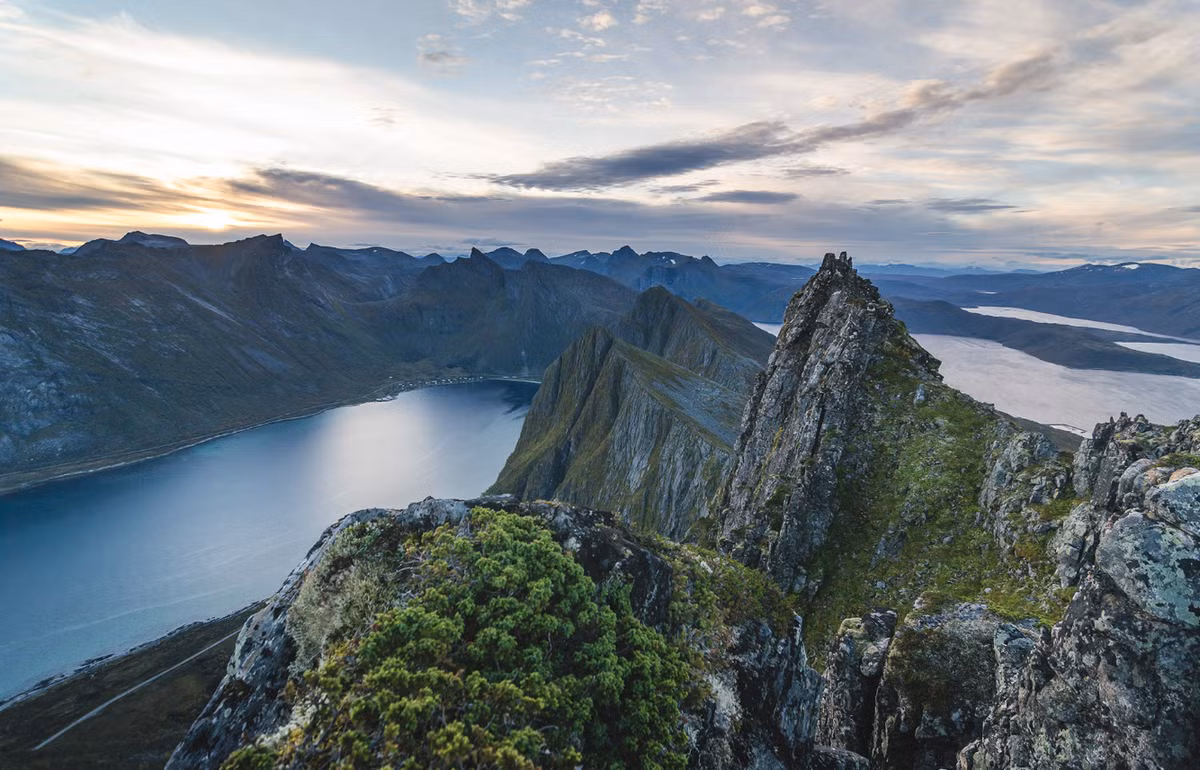 Ở Senja, một hòn đảo gồ ghề nhưng xinh đẹp ở phía bắc Na Uy, máy dò kim loại phát tín hiệu và các chuyên gia đến từ Bảo tàng Đại học Bắc Cực của Na Uy bất ngờ tìm thấy quần thể chôn cất kỳ lạ. Ảnh: @Bảo tàng Đại học Bắc Cực của Na Uy.