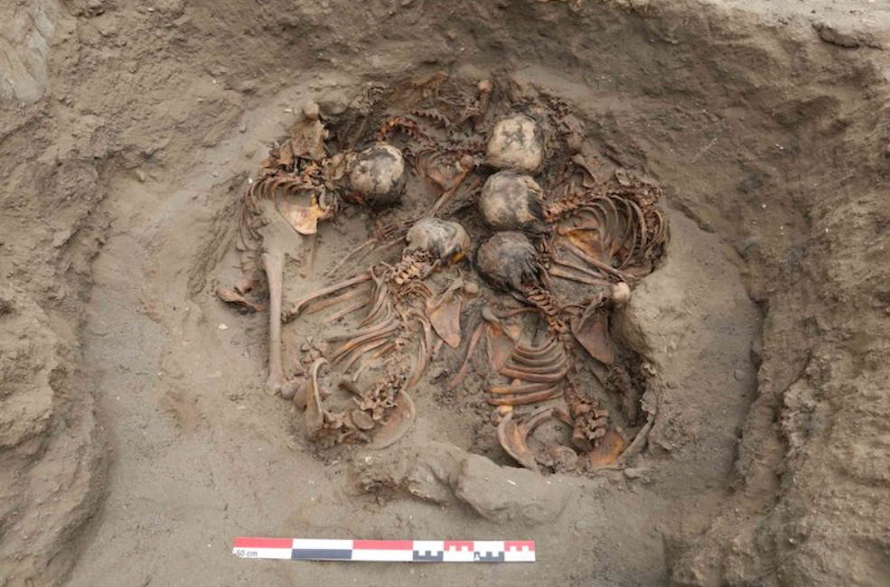 Các kỹ thuật thăm dò, phân tích khảo cổ học chuyên sâu cho thấy, đó là một hố tròn chôn cất tập thể. Ảnh: @Đại học Wrocław.