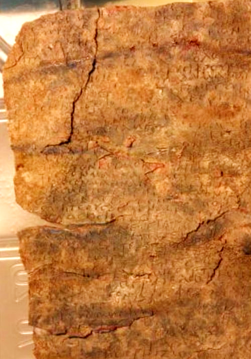 Lời nguyền do một người cổ đại khác viết, dài 110 dòng. Theo nghiên cứu của Mastrocinque, rõ ràng một người cổ đại nào đó đã viết lời nguyền triệu hồi một số con quỷ đến hãm hại vũ công tên là Manna. Ảnh: @Đại học Verona.