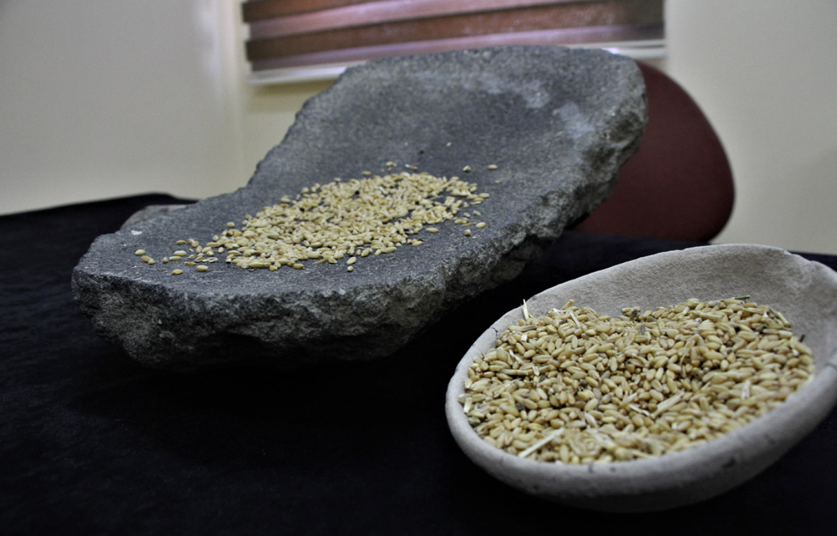 Trong quá khứ, cối đá này được sử dụng để nghiền các loại ngũ cốc như lúa mì, lúa mạch, đậu xanh và ngô. Ảnh: @Đại học Van Yüzüncü Yıl.