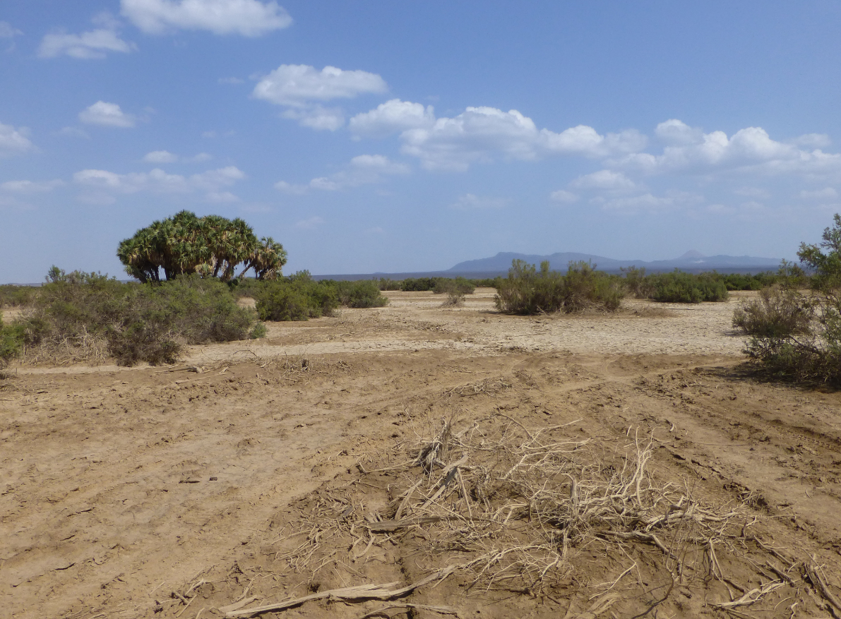 Các nhà nghiên cứu hy vọng sẽ xác định được thức ăn của những chủng người này, bằng cách kiểm tra men răng của họ trong các nghiên cứu khảo cổ tiếp theo. Ảnh: @Tiến sĩ Kaye Reed.