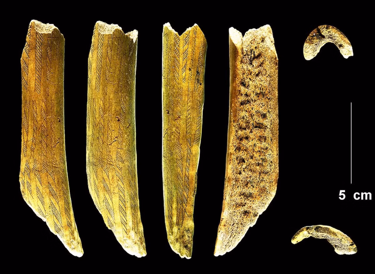Mảnh hiện vật được đề cập có chiều dài 10,7 cm, chiều rộng 2,1 cm và độ dày 1,1 cm, được làm từ sừng hươu đỏ. Ảnh: @Lars Larsson.