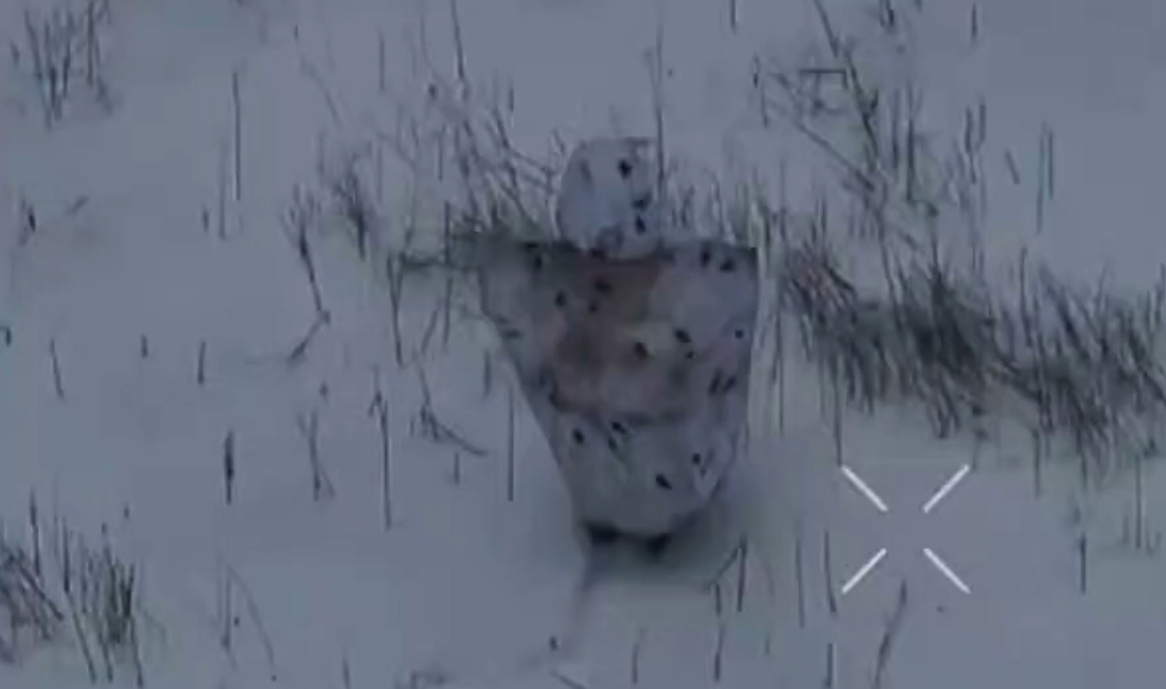 Các binh sĩ Ukraine tham gia vào cuộc giao tranh này cho biết, bộ đồ ngụy trang “Chim Cánh Cụt” không che giấu được thân phận mà ngược lại còn thu hút sự chú ý do hình dạng quá lớn và khả năng di chuyển bất thường. Ảnh: @Defence_blog.