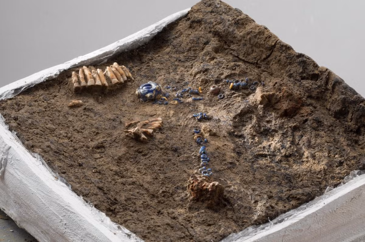 Dựa trên phân tích hài cốt của bà, các nhà khảo cổ học đưa ra giả thuyết rằng, bà ấy ít lao động chân tay trong suốt cuộc đời của mình và có chế độ ăn giàu tinh bột và đồ ngọt. Ảnh: @Văn phòng Phát triển Đô thị của thành phố Zurich.