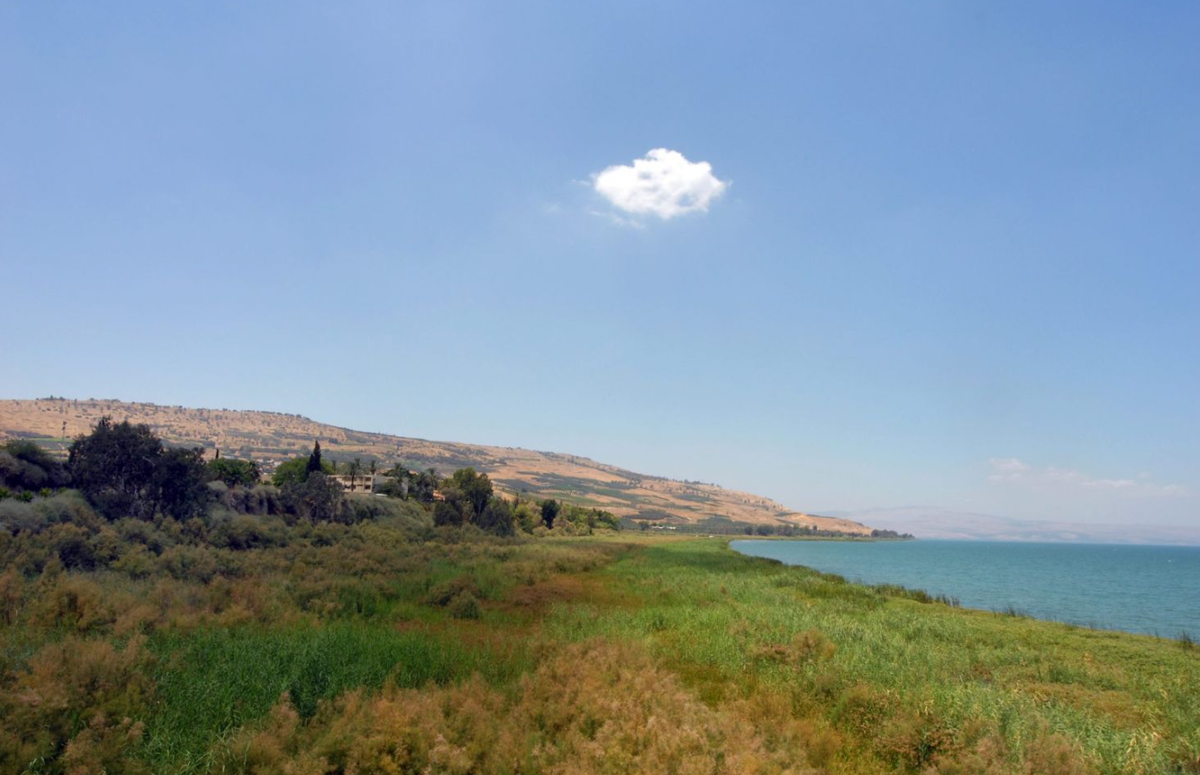 Tại khu định cư thời tiền sử có tên là Ohalo II ở vùng Galilee (Galilee, HaGalil, el-Celîl), thuộc miền bắc Israel, các chuyên gia đến từ Cơ quan Cổ vật Israel bất ngờ tìm thấy nhiều vật thể cổ xưa kỳ lạ. Ảnh: @Cơ quan Cổ vật Israel.