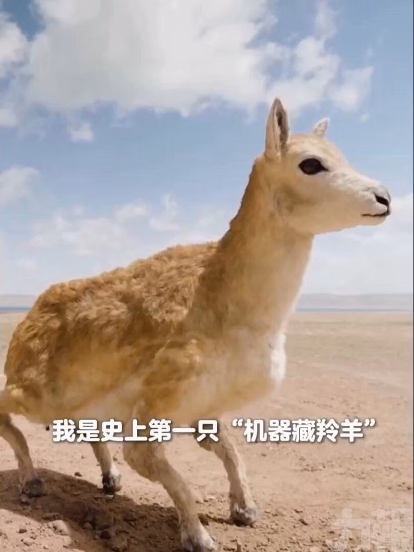 Tại Khả Khả Tây Lý, một trong những vùng đất hoang dã và khắc nghiệt nhất hành tinh, một cuộc cách mạng âm thầm đang diễn ra. Một "điệp viên" công nghệ cao, được ngụy trang hoàn hảo dưới hình dạng của một con linh dương Tây Tạng, đã lần đầu tiên thành công trà trộn vào một đàn linh dương hoang dã. Sứ mệnh của nó: quan sát, ghi hình và thu thập dữ liệu ở cự ly cực gần mà không hề bị phát hiện, một kỳ tích hứa hẹn sẽ thay đổi hoàn toàn cách chúng ta nghiên cứu và bảo vệ thế giới tự nhiên.