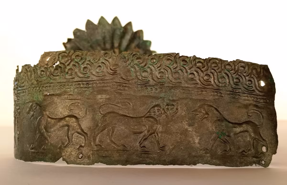 Dải đeo vương miện được chạm nổi hình cặp sư tử đực và cái đối diện nhau, biểu tượng cho quyền lực mạnh mẽ. Ảnh: @Hội đồng Khảo cổ Phthiotis và Evrytania.