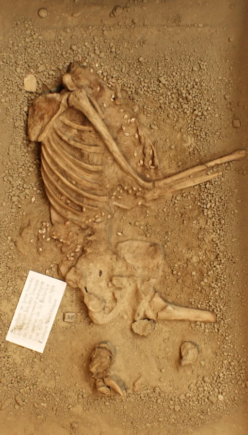 Ước tính ngôi mộ này có niên đại khoảng 7.000 năm tuổi. Ảnh: @Đại học Bordeaux Montaigne.