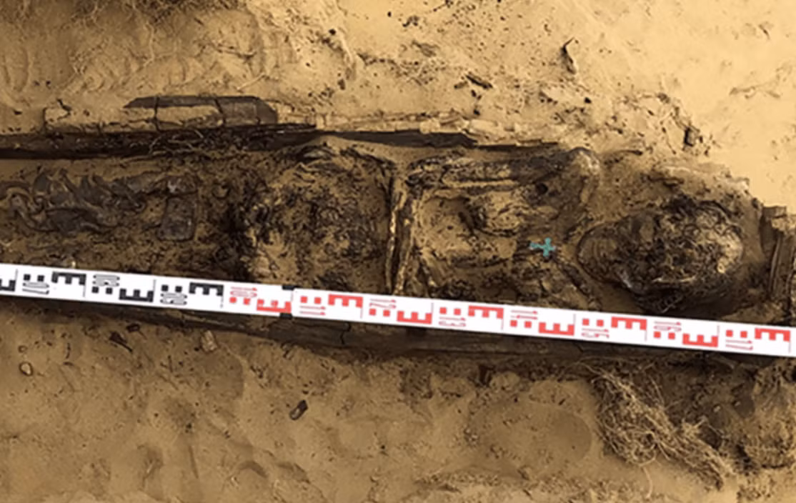 “Các mô mềm của bà ấy được bảo quản rất tốt”, Tiến sĩ Elena Solovyova nói. Ảnh: @Tiến sĩ Elena Solovyova.