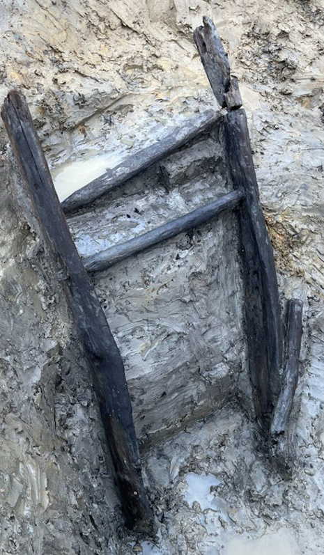 Ước tính, chiếc thang gỗ này có niên đại khoảng 1.000 năm tuổi. Ảnh: @Bảo Tàng Quốc Gia Anh.