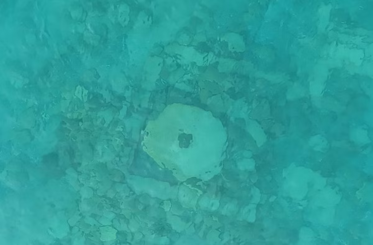 Valery Kolchenko, nhà nghiên cứu tại Viện Hàn lâm Khoa học Quốc gia Cộng hòa Kyrgyzstan và là người chủ trì cuộc thám hiểm này giải thích: "Địa điểm chúng tôi đang nghiên cứu là một thành phố hoặc là một trung tâm thương mại lớn trên một đoạn quan trọng của Con đường tơ lụa". Ảnh: @Viện Hàn lâm Khoa học Kyrgyzstan.