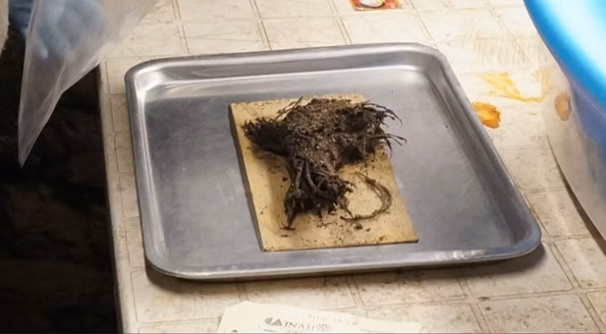 Bốn bó hoa cổ này được tìm thấy trong tình trạng tuyệt vời, được bảo quản với những sợi dây cotton vẫn còn buộc quanh thân. Ảnh: @Viện Nhân chủng học và Lịch sử Quốc gia Mexico.