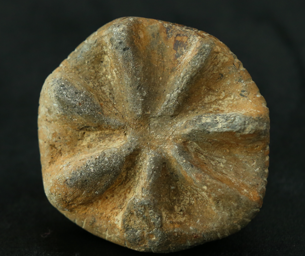 Thậm chí, trong Thời Kỳ Đồ Đá Mới, các vị thần tối cao luôn gắn liền với Mặt trời và bầu trời. Ảnh: @Bộ Văn hóa và Du lịch Thổ Nhĩ Kỳ.