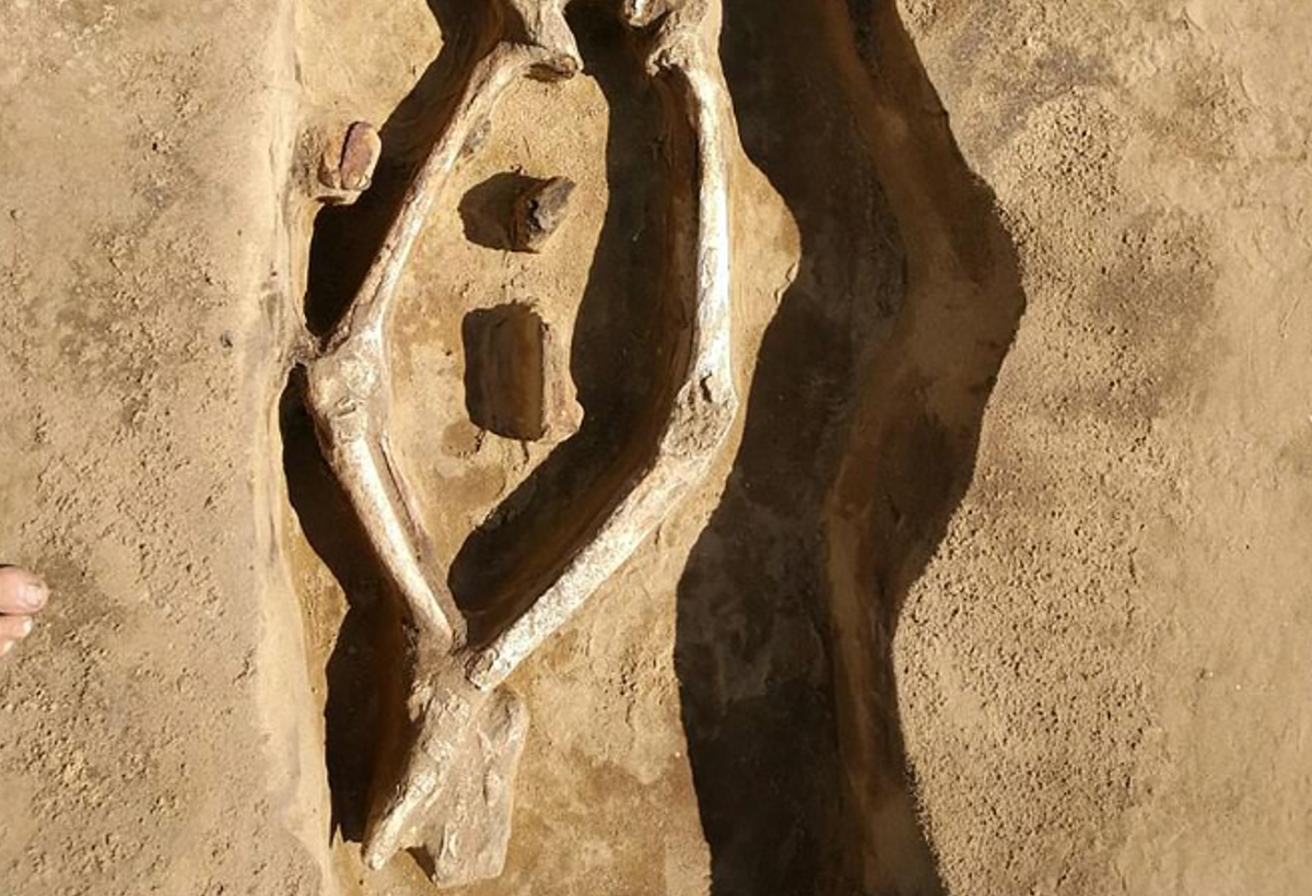 Bộ xương nằm trong ngôi mộ hình chữ nhật, được phủ một lớp cát trắng. Ảnh: @Denis Volkov.