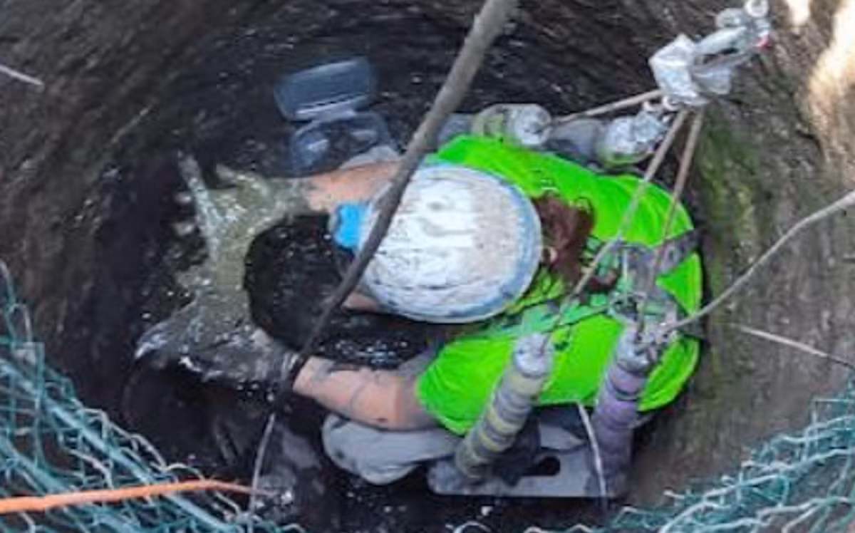 Danh tính cụ thể của chủ sở hữu chiếc dép này vẫn chưa được biết. Hiện tại, chiếc dép La Mã 2.000 năm này đang được bảo quản lạnh để ngăn chặn sự phân hủy, cho đến khi nó có thể được phục chế và trưng bày tại Bảo tàng Khảo cổ học Asturias. Ảnh: @Esperanza Martín Hernández.