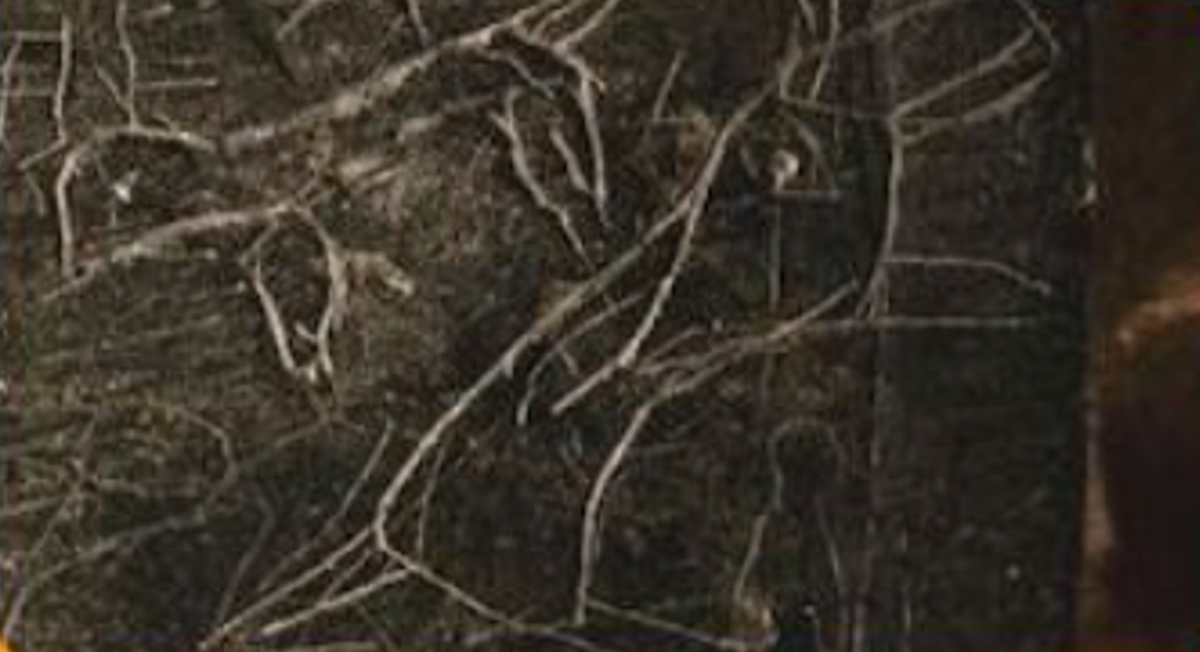 Đây là một loại bùa chú trừ tà, cũng có thể được sử dụng để bảo vệ khỏi nọc độc của bọ cạp. Ảnh: @Cơ Quan Cổ Vật Thổ Nhĩ Kỳ.