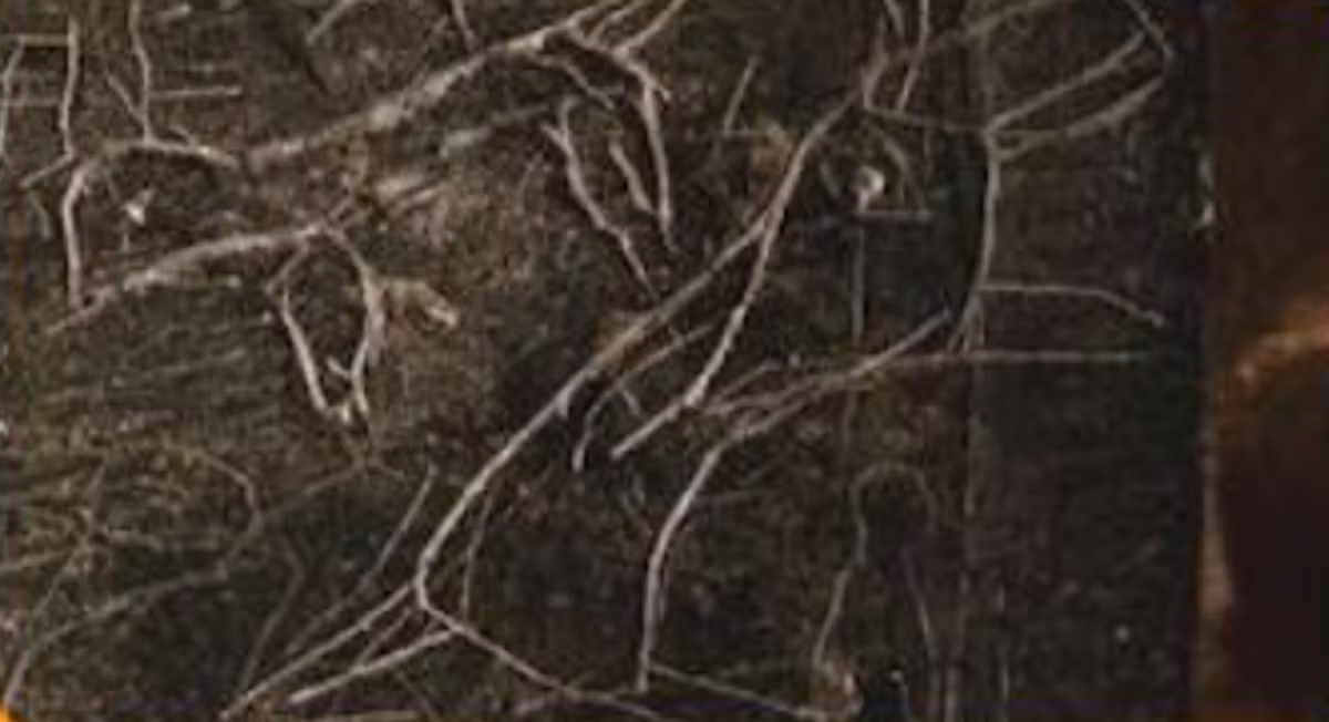 Đây là một loại bùa chú trừ tà, cũng có thể được sử dụng để bảo vệ khỏi nọc độc của bọ cạp. Ảnh: @Cơ Quan Cổ Vật Thổ Nhĩ Kỳ.