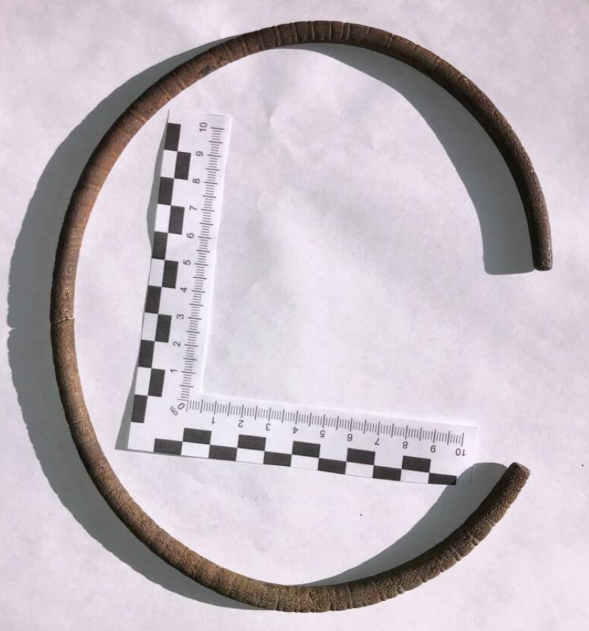 Chúng tạo thành một chiếc vòng cổ hở hai đầu làm bằng đồng, được trang trí bằng họa tiết rãnh kép ở bên ngoài. Ảnh: @Văn phòng Bảo vệ Di tích Tỉnh Elk.