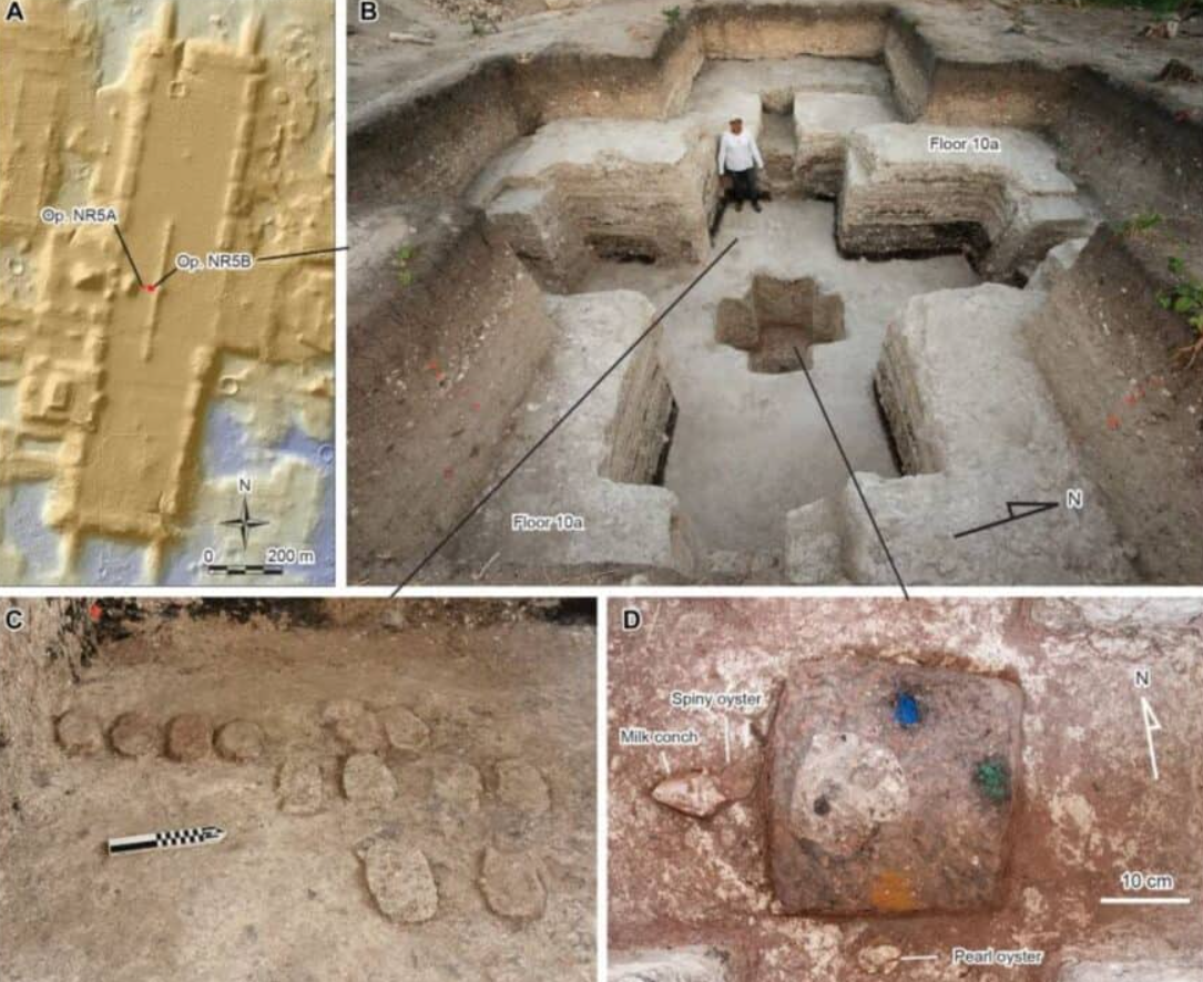 Tại Aguada Fénix, một địa điểm cổ đại ở Đông Nam Mexico, mạng lưới khổng lồ gồm các kênh đào, hành lang và nền móng dường như tạo thành một bản đồ vũ trụ. Ảnh: @Đại học Arizona.