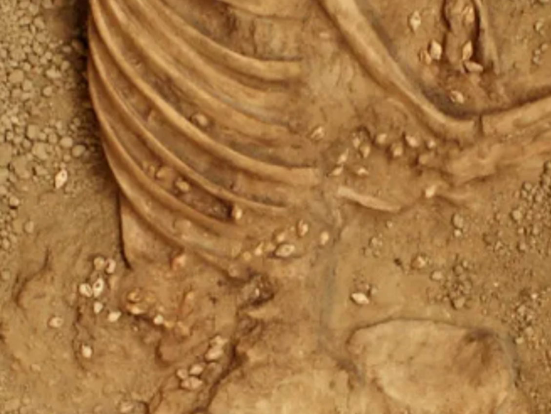 Ngoài ra, người đàn ông này có độ tuổi từ 20 đến 50 và ước tính cao khoảng 1,67 mét. Ảnh: @Đại học Bordeaux Montaigne.