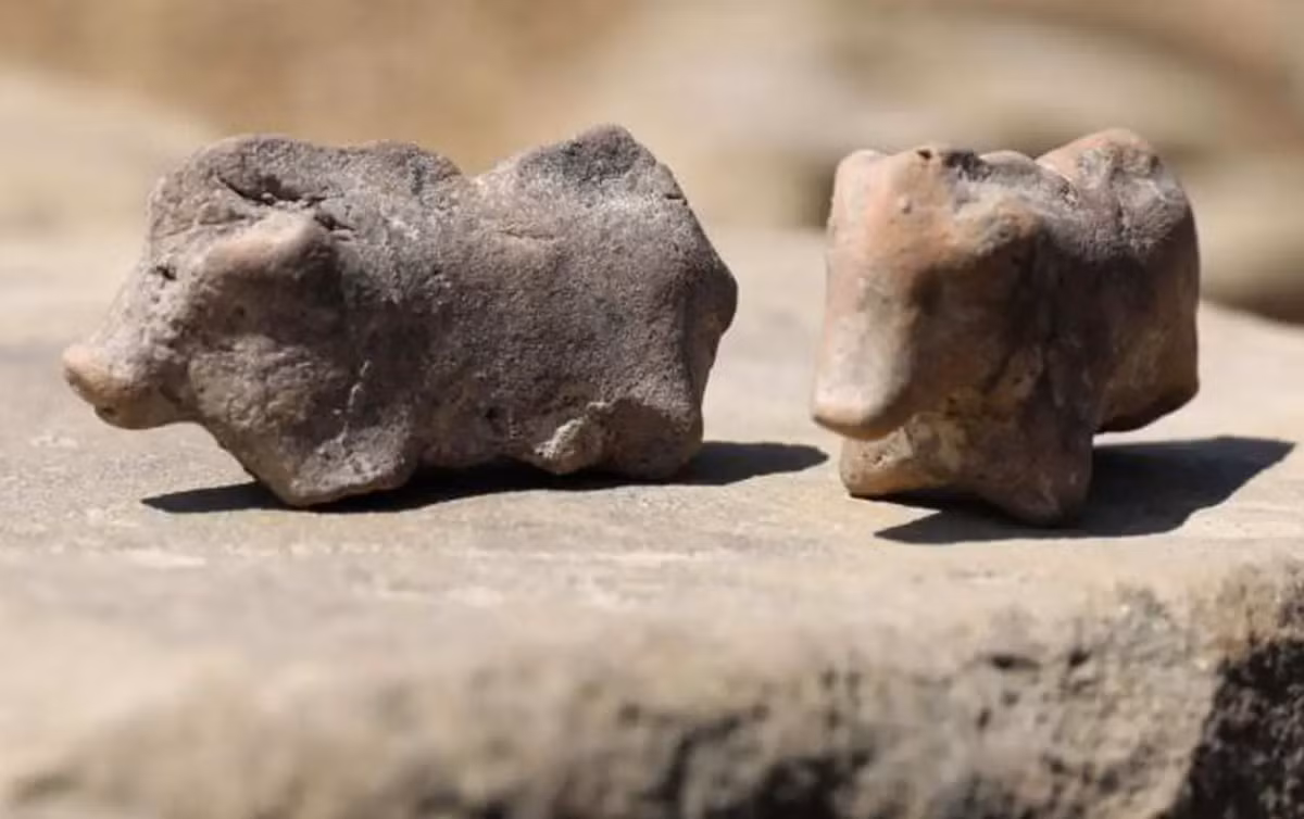 Không quá khó để nhận thấy, đây là hai bức tượng làm từ chất liệu đất sét, dài chỉ vài cm, mang hình thù con lợn với mõm và tai lộ ra ngoài. Ảnh: @Đại học Jagiellonian.