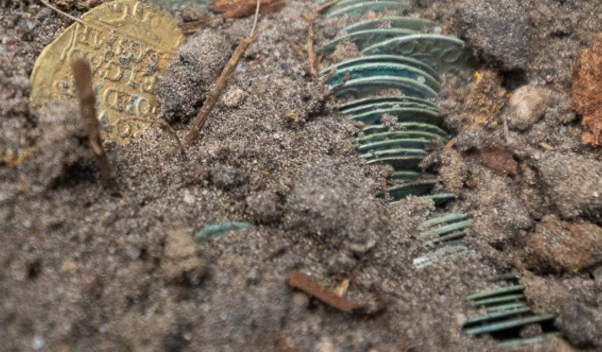 Trong quá trình khai quật, người ta cũng phát hiện một thân cây bị cháy, điều này có thể cho thấy sự kiện một đám cháy cổ xưa đã từng xảy ra. Tuy nhiên, những đồng xu được tìm thấy vẫn còn nguyên vẹn, cho thấy sự kiện đó không hề ảnh hưởng trực tiếp đến chúng. Ảnh: @Wielki Las.