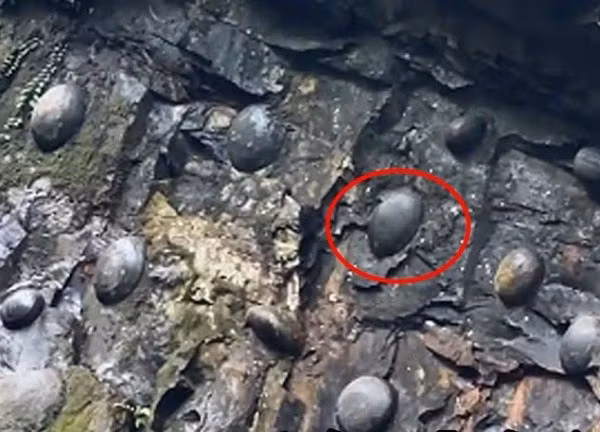 Đối với người dân địa phương, chúng giống như những quả trứng khổng lồ được chính đất mẹ sinh ra, họ còn đồn đoán rằng những quả trứng đá này liên quan đến truyền thuyết linh thạch, sẽ sản sinh ra những linh vật hội tụ tinh hoa trời đất giống như Tề Thiên Đại Thánh Tôn Ngộ Không.