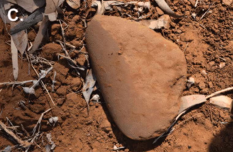 Những hiểu biết này cho thấy, các công cụ này không chỉ đơn thuần dành cho mục đích sử dụng cá nhân mà có thể còn được thiết kế với mục đích trao đổi. Ảnh: @Yinika Perston.