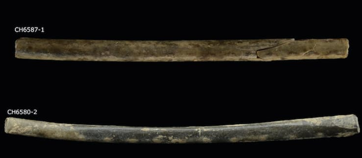 Phát hiện này cho thấy giới thượng lưu Chavín Phenomenon không chỉ sử dụng các chất này cho những trải nghiệm cá nhân hay những ảo giác tâm linh riêng lẻ, mà còn là một phần của hệ thống nghi lễ tinh vi, nhằm củng cố vị thế quyền lực của họ trong trật tự xã hội. Ảnh: @Daniel Contreras.