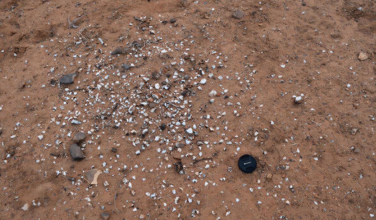 Cụ thể, có một kho công cụ bằng đá quý hiếm được tìm thấy bởi nhóm nghiên cứu do Tiến sĩ Yinika Perston dẫn đầu. Ảnh: @Yinika Perston.