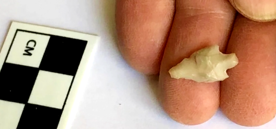 Các kỹ thuật thăm dò, phân tích khảo cổ học chuyên sâu cho thấy, đó là một đầu mũi tên siêu nhỏ, chỉ dài 1,5 cm. Ảnh: @Cơ Quan Cổ Vật Israel.