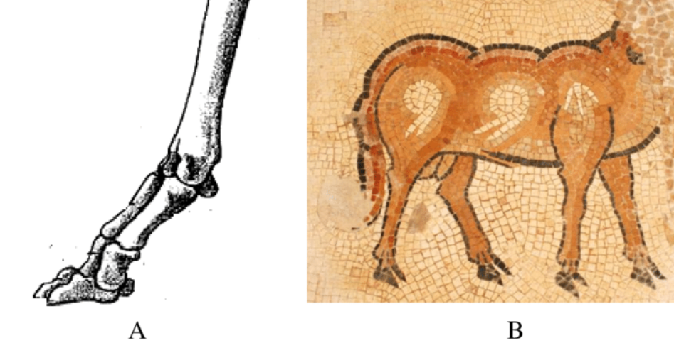 Ngay lập tức, chiếc hộp này gây ngạc nhiên các chuyên gia khảo cổ học. Ảnh: @Viện Nghiên cứu Di sản Văn hóa và Du lịch Iran.