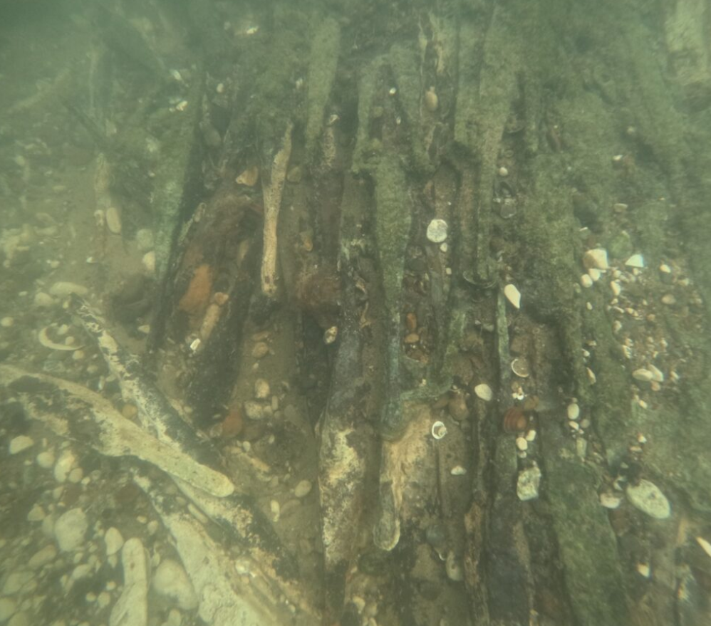 Các nghiên cứu hóa học sắp tới có thể tiết lộ những thông tin quan trọng như nguồn gốc của những thỏi kim loại này. Ảnh: @Muzej Franjevačkog samostana Tolisa Vrata Bosne.