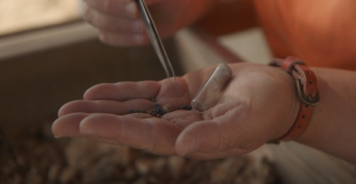 Mặc dù số lượng lớn hiện vật được tìm thấy tại hiện trường đã giúp thu hẹp phạm vi xác định niên đại của công trình, nhưng chúng vẫn để lại nhiều câu hỏi khó hiểu về mục đích thực sự của kim tự tháp này. Ảnh: @Cơ Quan Cổ Vật Israel.