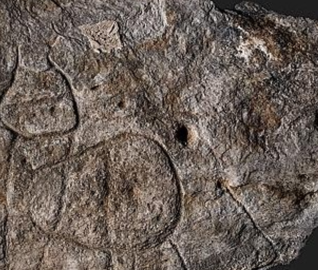 Tuy nhiên, tảng đá vẫn chưa hé lộ hết bí mật của nó. Ảnh: @Yvan Pailler và Clément Nicolas.