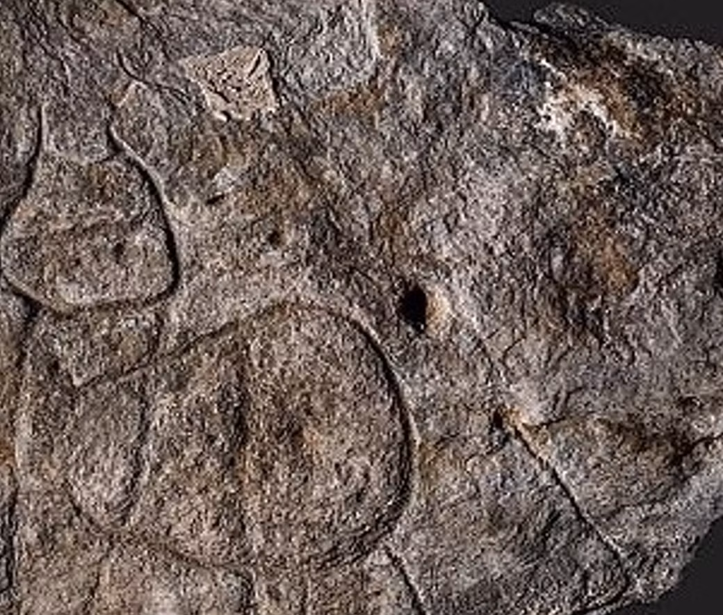 Tuy nhiên, tảng đá vẫn chưa hé lộ hết bí mật của nó. Ảnh: @Yvan Pailler và Clément Nicolas.