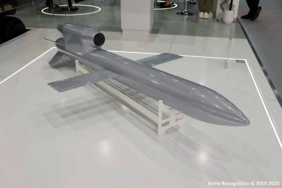 Việc Flamingo lộ diện trùng với thời điểm diễn ra hội nghị thượng đỉnh Trump - Putin tại Alaska càng làm tăng sức nặng của thông điệp răn đe. Nó cũng nhấn mạnh sự chủ động của Ukraine trong việc phát triển vũ khí mới, bất chấp áp lực ngoại giao. Thậm chí, nhiều nhà phân tích cho rằng sự kiện này được công bố có chủ ý nhằm gửi tín hiệu tới Điện Kremlin.