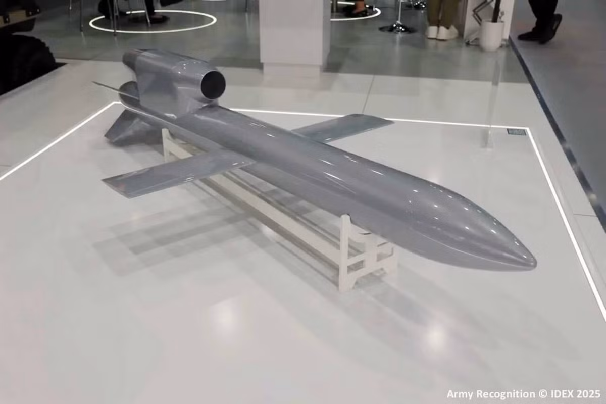 Việc Flamingo lộ diện trùng với thời điểm diễn ra hội nghị thượng đỉnh Trump - Putin tại Alaska càng làm tăng sức nặng của thông điệp răn đe. Nó cũng nhấn mạnh sự chủ động của Ukraine trong việc phát triển vũ khí mới, bất chấp áp lực ngoại giao. Thậm chí, nhiều nhà phân tích cho rằng sự kiện này được công bố có chủ ý nhằm gửi tín hiệu tới Điện Kremlin.