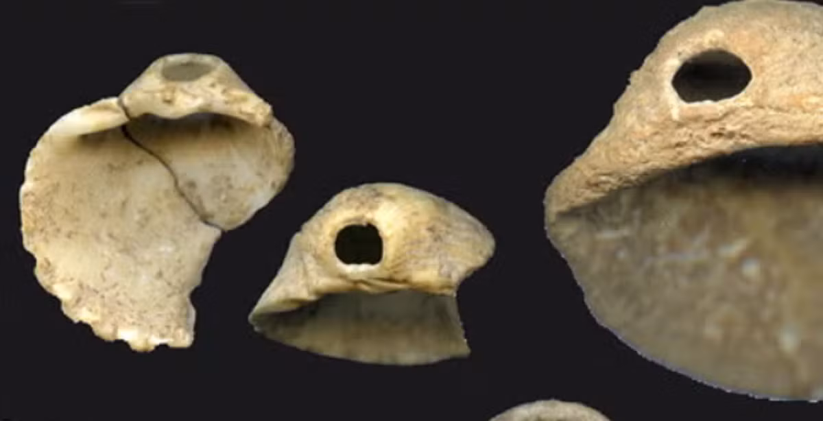 Nhóm khảo cổ cho rằng, con người thời kỳ đồ đá cũ từng sống trong hang động này đã sử dụng vỏ sò biển để trang trí cơ thể. Ảnh: @Đại học Cádiz.